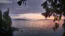 ./images/koeye/fitz-hugh/20260810/fitz-hugh20260810_212001M.jpg