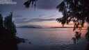 ./images/koeye/fitz-hugh/20260810/fitz-hugh20260810_214001M.jpg