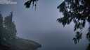 ./images/koeye/fitz-hugh/20260811/fitz-hugh20260811_055001M.jpg