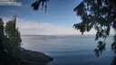 ./images/koeye/fitz-hugh/20260811/fitz-hugh20260811_081502M.jpg