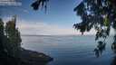 ./images/koeye/fitz-hugh/20260811/fitz-hugh20260811_082001M.jpg