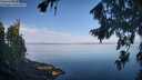 ./images/koeye/fitz-hugh/20260811/fitz-hugh20260811_084001M.jpg