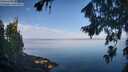 ./images/koeye/fitz-hugh/20260811/fitz-hugh20260811_084501M.jpg