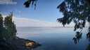 ./images/koeye/fitz-hugh/20260811/fitz-hugh20260811_085501M.jpg