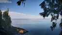 ./images/koeye/fitz-hugh/20260811/fitz-hugh20260811_090501M.jpg