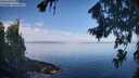 ./images/koeye/fitz-hugh/20260811/fitz-hugh20260811_092501M.jpg