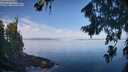 ./images/koeye/fitz-hugh/20260811/fitz-hugh20260811_093501M.jpg
