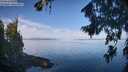 ./images/koeye/fitz-hugh/20260811/fitz-hugh20260811_094001M.jpg
