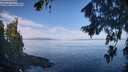 ./images/koeye/fitz-hugh/20260811/fitz-hugh20260811_095002M.jpg