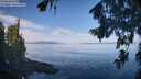 ./images/koeye/fitz-hugh/20260811/fitz-hugh20260811_095501M.jpg