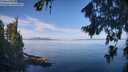 ./images/koeye/fitz-hugh/20260811/fitz-hugh20260811_101502M.jpg