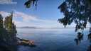 ./images/koeye/fitz-hugh/20260811/fitz-hugh20260811_102002M.jpg