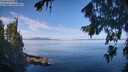 ./images/koeye/fitz-hugh/20260811/fitz-hugh20260811_102501M.jpg
