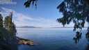 ./images/koeye/fitz-hugh/20260811/fitz-hugh20260811_103001M.jpg