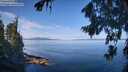 ./images/koeye/fitz-hugh/20260811/fitz-hugh20260811_103502M.jpg