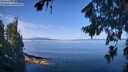 ./images/koeye/fitz-hugh/20260811/fitz-hugh20260811_104501M.jpg
