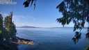 ./images/koeye/fitz-hugh/20260811/fitz-hugh20260811_105501M.jpg