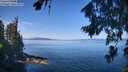 ./images/koeye/fitz-hugh/20260811/fitz-hugh20260811_110001M.jpg