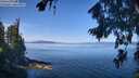 ./images/koeye/fitz-hugh/20260811/fitz-hugh20260811_110501M.jpg