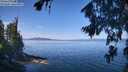 ./images/koeye/fitz-hugh/20260811/fitz-hugh20260811_111001M.jpg