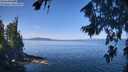 ./images/koeye/fitz-hugh/20260811/fitz-hugh20260811_111501M.jpg