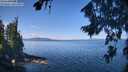 ./images/koeye/fitz-hugh/20260811/fitz-hugh20260811_112001M.jpg