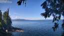 ./images/koeye/fitz-hugh/20260811/fitz-hugh20260811_112501M.jpg