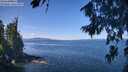 ./images/koeye/fitz-hugh/20260811/fitz-hugh20260811_113002M.jpg