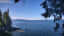 ./images/koeye/fitz-hugh/20260811/fitz-hugh20260811_113501M.jpg
