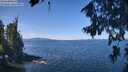 ./images/koeye/fitz-hugh/20260811/fitz-hugh20260811_114001M.jpg