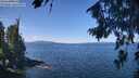 ./images/koeye/fitz-hugh/20260811/fitz-hugh20260811_114501M.jpg