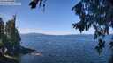 ./images/koeye/fitz-hugh/20260811/fitz-hugh20260811_115001M.jpg