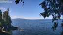 ./images/koeye/fitz-hugh/20260811/fitz-hugh20260811_115501M.jpg