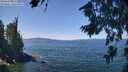 ./images/koeye/fitz-hugh/20260811/fitz-hugh20260811_123501M.jpg
