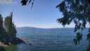 ./images/koeye/fitz-hugh/20260811/fitz-hugh20260811_124001M.jpg