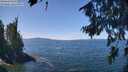 ./images/koeye/fitz-hugh/20260811/fitz-hugh20260811_124501M.jpg
