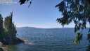./images/koeye/fitz-hugh/20260811/fitz-hugh20260811_125502M.jpg