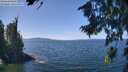 ./images/koeye/fitz-hugh/20260811/fitz-hugh20260811_130002M.jpg