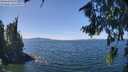 ./images/koeye/fitz-hugh/20260811/fitz-hugh20260811_130501M.jpg