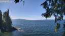 ./images/koeye/fitz-hugh/20260811/fitz-hugh20260811_131001M.jpg
