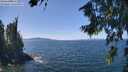 ./images/koeye/fitz-hugh/20260811/fitz-hugh20260811_132002M.jpg