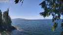 ./images/koeye/fitz-hugh/20260811/fitz-hugh20260811_132501M.jpg