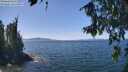 ./images/koeye/fitz-hugh/20260811/fitz-hugh20260811_133001M.jpg