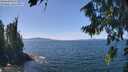 ./images/koeye/fitz-hugh/20260811/fitz-hugh20260811_133501M.jpg