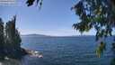 ./images/koeye/fitz-hugh/20260811/fitz-hugh20260811_134501M.jpg