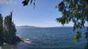 ./images/koeye/fitz-hugh/20260811/fitz-hugh20260811_135001M.jpg