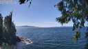 ./images/koeye/fitz-hugh/20260811/fitz-hugh20260811_140001M.jpg
