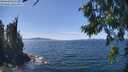 ./images/koeye/fitz-hugh/20260811/fitz-hugh20260811_140501M.jpg