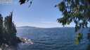 ./images/koeye/fitz-hugh/20260811/fitz-hugh20260811_141001M.jpg