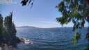 ./images/koeye/fitz-hugh/20260811/fitz-hugh20260811_141501M.jpg